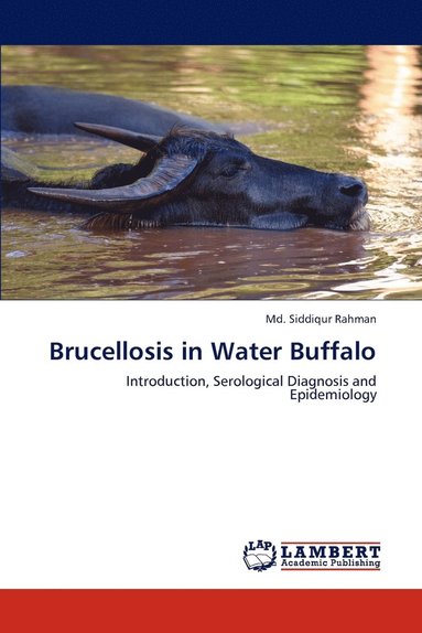 bokomslag Brucellosis in Water Buffalo