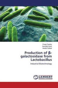 bokomslag Production of -Galactosidase from Lactobacillus