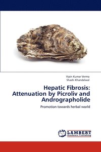 bokomslag Hepatic Fibrosis
