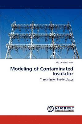 Modeling of Contaminated Insulator 1