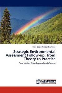 bokomslag Strategic Environmental Assessment Follow-up