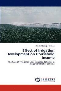 bokomslag Effect of Irrigation Development on Household Income
