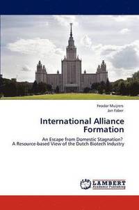 bokomslag International Alliance Formation