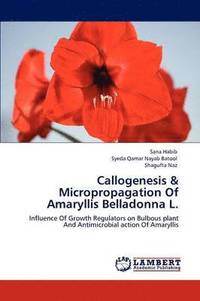 bokomslag Callogenesis & Micropropagation Of Amaryllis Belladonna L.