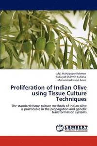 bokomslag Proliferation of Indian Olive Using Tissue Culture Techniques