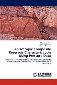 bokomslag Anisotropic Composite Reservoir Characterization Using Pressure Data