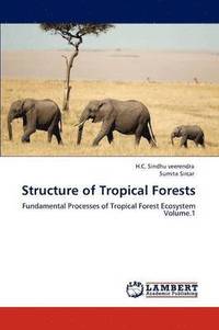 bokomslag Structure of Tropical Forests