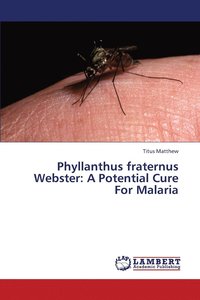 bokomslag Phyllanthus fraternus Webster