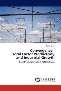 bokomslag Convergence, Total Factor Productivity and Industrial Growth