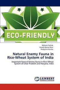 bokomslag Natural Enemy Fauna in Rice-Wheat System of India