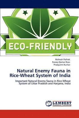 Natural Enemy Fauna in Rice-Wheat System of India 1