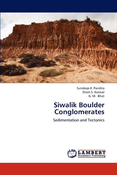 bokomslag Siwalik Boulder Conglomerates