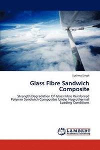 bokomslag Glass Fibre Sandwich Composite