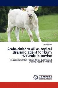 bokomslag Seabuckthorn oil as topical dressing agent for burn wounds in bovine