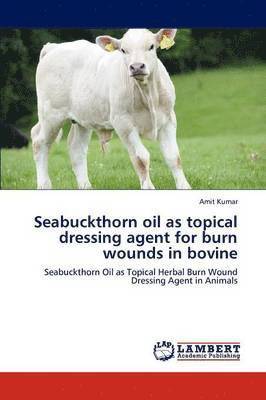 Seabuckthorn oil as topical dressing agent for burn wounds in bovine 1