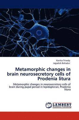 bokomslag Metamorphic changes in brain neurosecretory cells of Prodenia litura