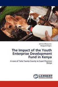 bokomslag The Impact of the Youth Enterprise Development Fund in Kenya