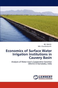 bokomslag Economics of Surface Water Irrigation Institutions in Cauvery Basin