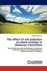 bokomslag The effect of soil pollution on plant ecology in Mukuvisi Catchment