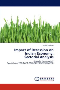 bokomslag Impact of Recession on Indian Economy