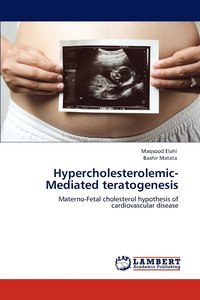 bokomslag Hypercholesterolemic-Mediated teratogenesis