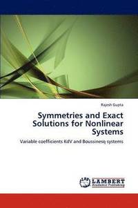 bokomslag Symmetries and Exact Solutions for Nonlinear Systems