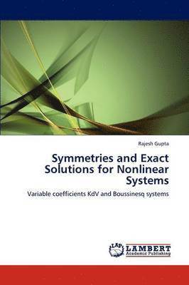 bokomslag Symmetries and Exact Solutions for Nonlinear Systems