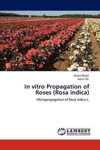 bokomslag In vitro Propagation of Roses (Rosa indica)