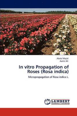 In vitro Propagation of Roses (Rosa indica) 1