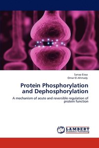 bokomslag Protein Phosphorylation and Dephosphorylation