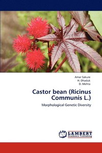 bokomslag Castor bean (Ricinus Communis L.)