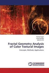bokomslag Fractal Geometry Analysis of Color Textural Images