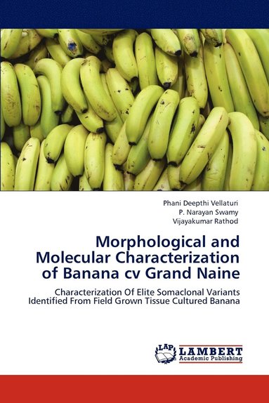 bokomslag Morphological and Molecular Characterization of Banana cv Grand Naine