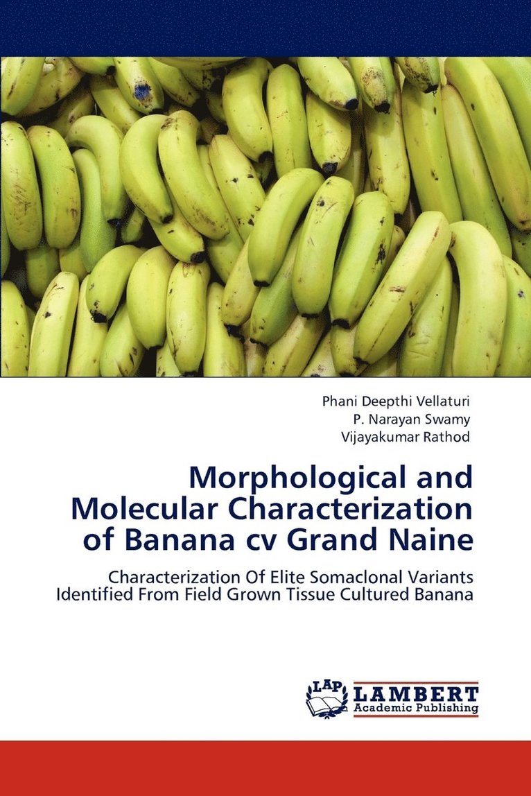 Morphological and Molecular Characterization of Banana cv Grand Naine 1