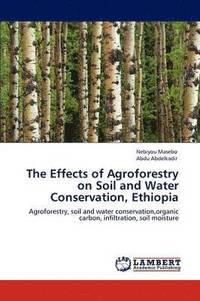 bokomslag The Effects of Agroforestry on Soil and Water Conservation, Ethiopia