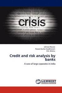 bokomslag Credit and Risk Analysis by Banks