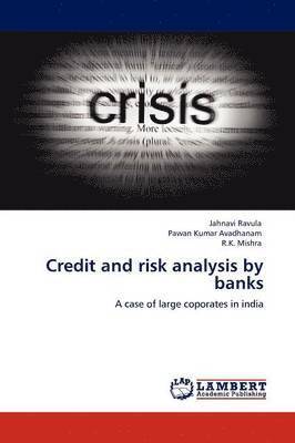 Credit and Risk Analysis by Banks 1