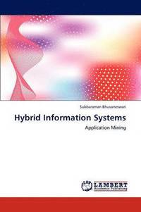 bokomslag Hybrid Information Systems