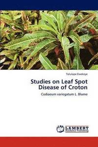 bokomslag Studies on Leaf Spot Disease of Croton