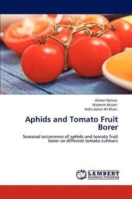 Aphids and Tomato Fruit Borer 1