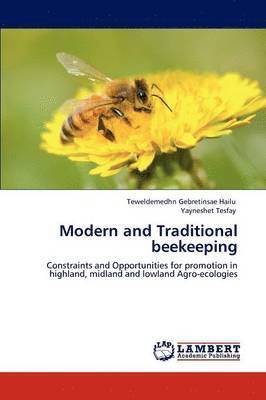 Modern and Traditional beekeeping 1