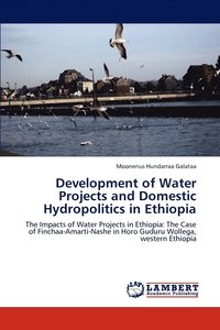 bokomslag Development of Water Projects and Domestic Hydropolitics in Ethiopia