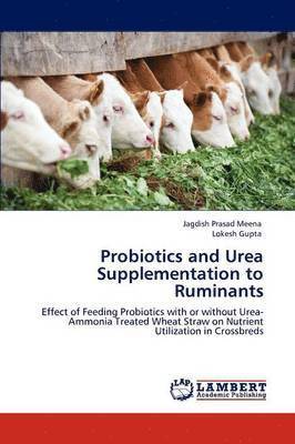 Probiotics and Urea Supplementation to Ruminants 1