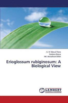 Erioglossum Rubiginosum 1