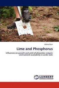 bokomslag Lime and Phosphorus