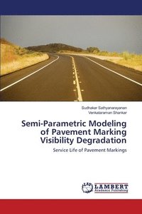 bokomslag Semi-Parametric Modeling of Pavement Marking Visibility Degradation