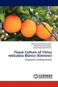 bokomslag Tissue Culture of Citrus Reticulata Blanco (Kinnow)