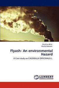 bokomslag Flyash- An Environmental Hazard