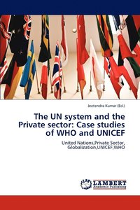 bokomslag The UN system and the Private sector