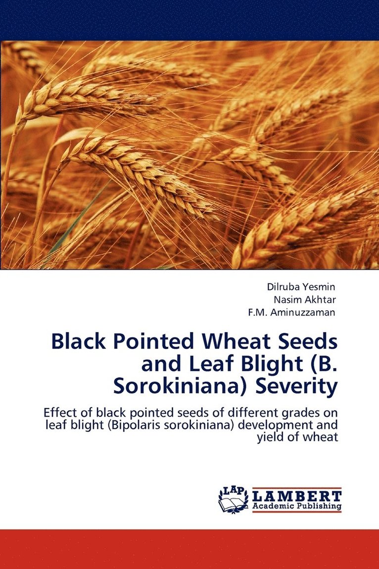 Black Pointed Wheat Seeds and Leaf Blight (B. Sorokiniana) Severity 1